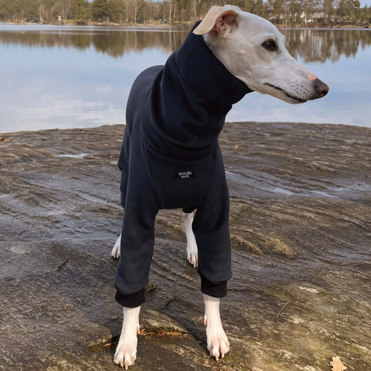Whippet wearing black FROST jumpsuit – front view
