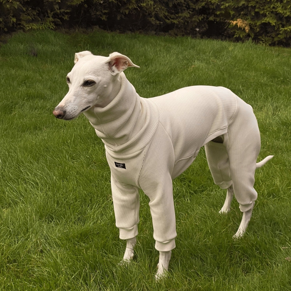 FROST Jumpsuit for Italian Greyhound – White Handmade Nordic