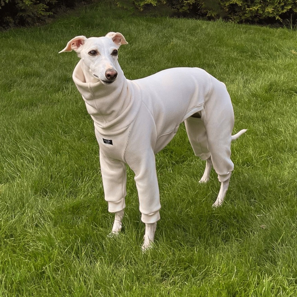 FROST Jumpsuit for Whippets - white