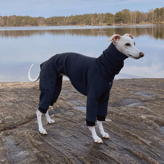 Whippet wearing black FROST jumpsuit – side view